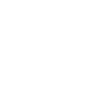 Protector
